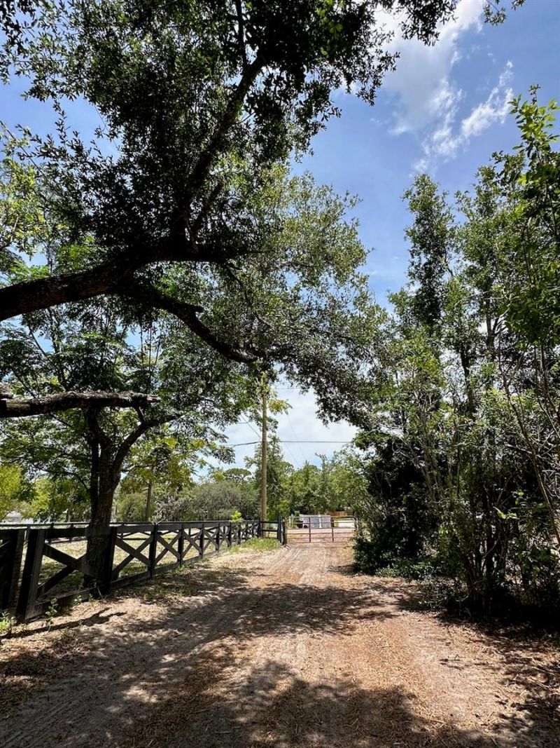 11000 Kitten Trail, Hudson, FL 34669 Photo