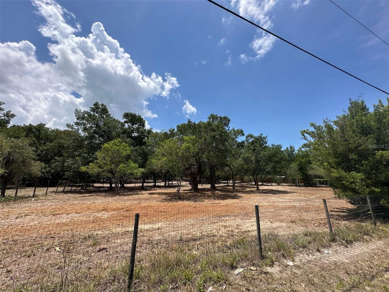 11000 Kitten Trail, Hudson, FL 34669 Photo