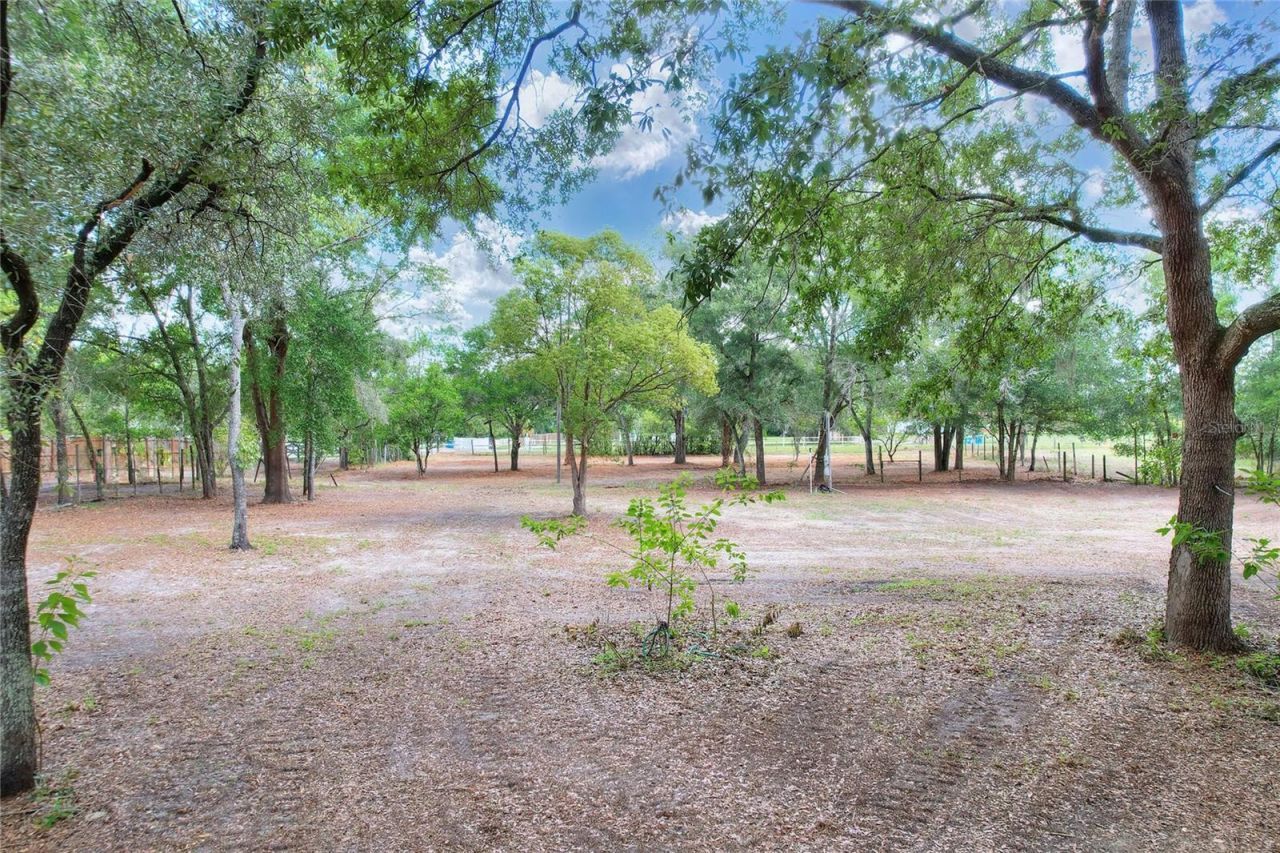 11000 Kitten Trail, Hudson, FL 34669 Photo