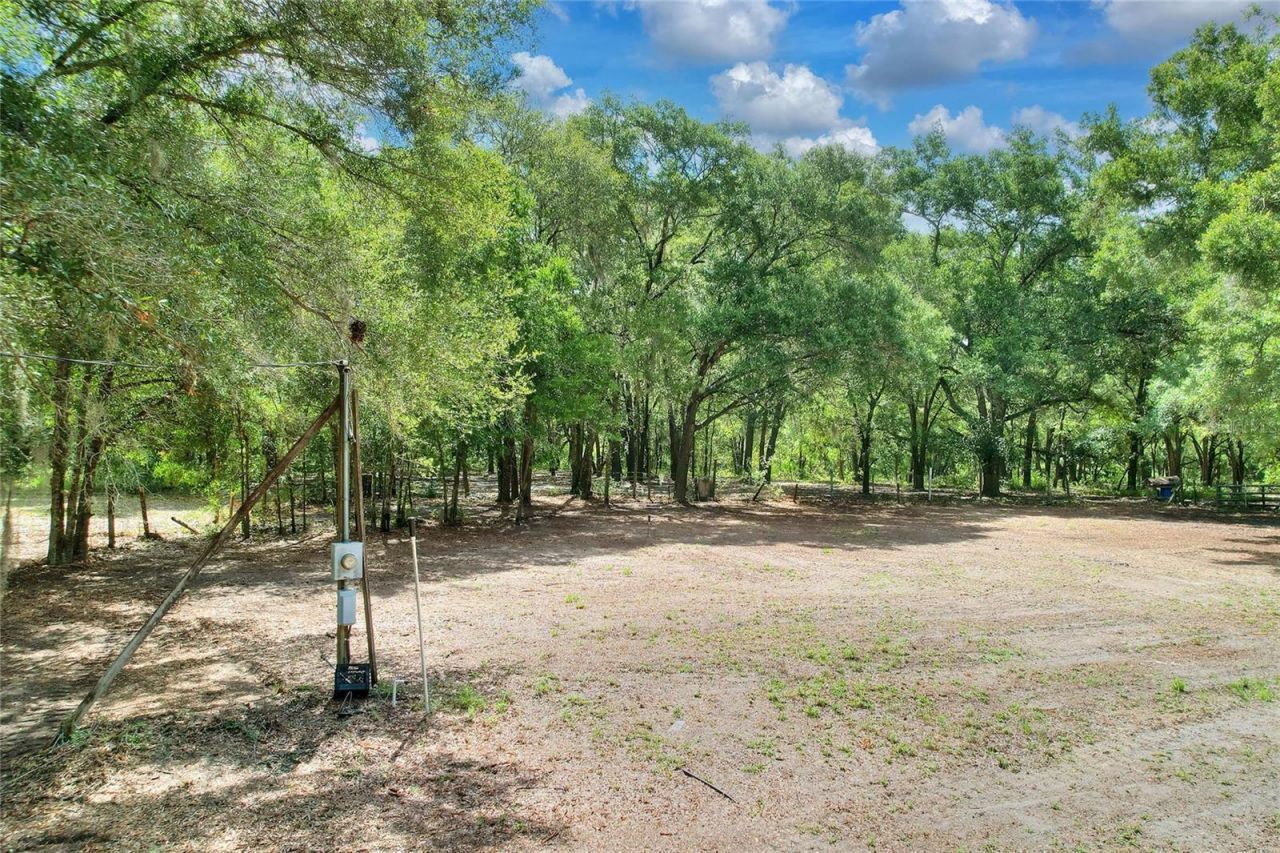 11000 Kitten Trail, Hudson, FL 34669 Photo