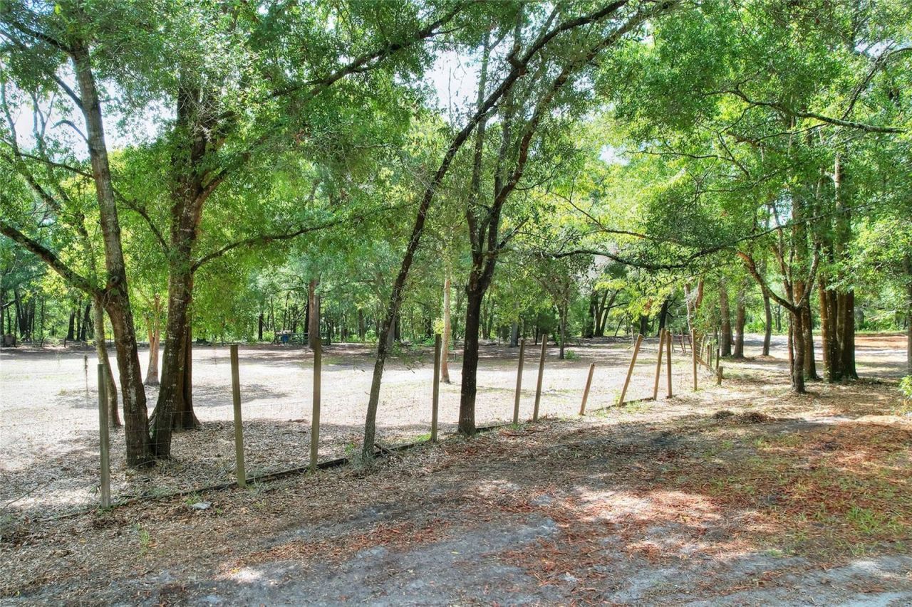 11000 Kitten Trail, Hudson, FL 34669 Photo