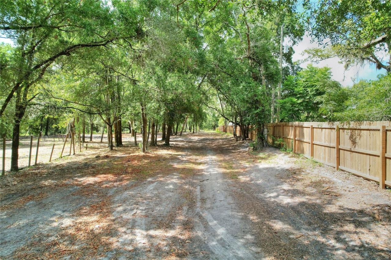 11000 Kitten Trail, Hudson, FL 34669 Photo