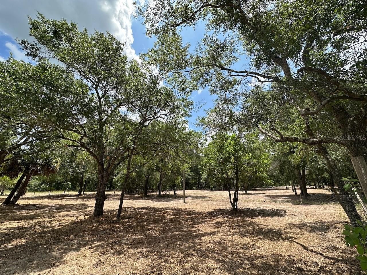11000 Kitten Trail, Hudson, FL 34669 Photo