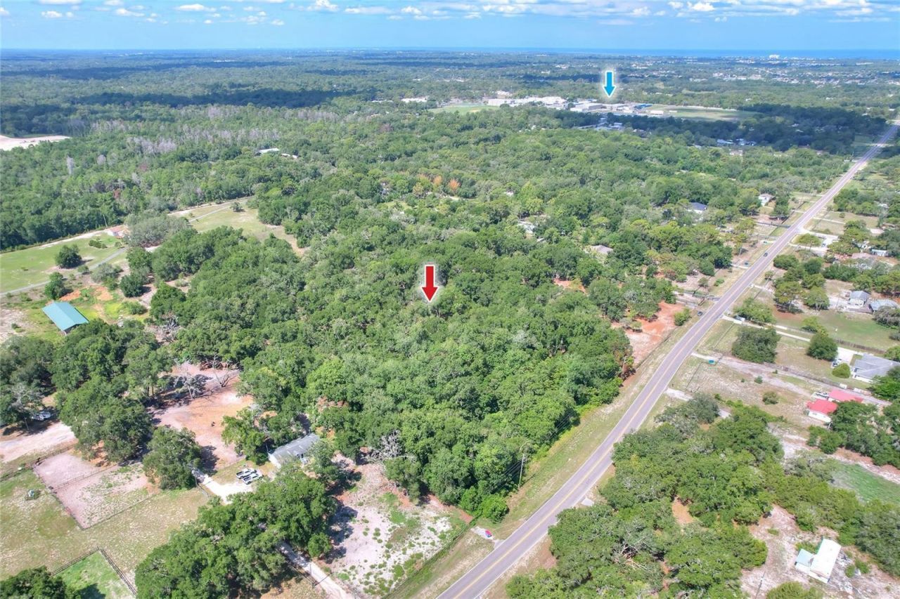 11000 Kitten Trail, Hudson, FL 34669 Photo