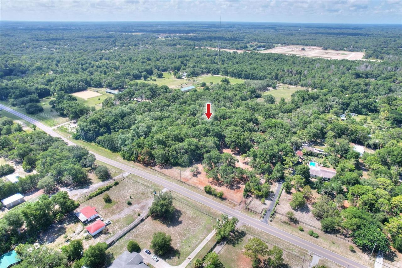 11000 Kitten Trail, Hudson, FL 34669 Photo