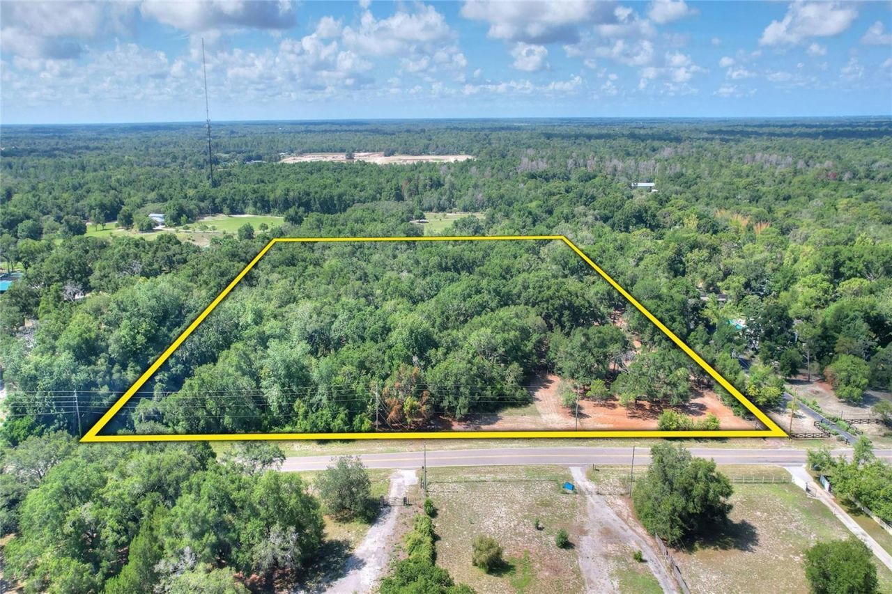 11000 Kitten Trail, Hudson, FL 34669 Photo