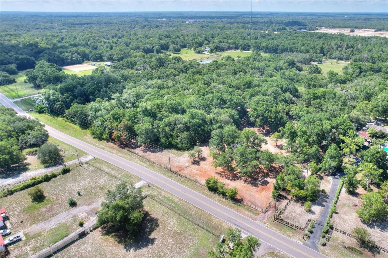 11000 Kitten Trail, Hudson, FL 34669 Photo