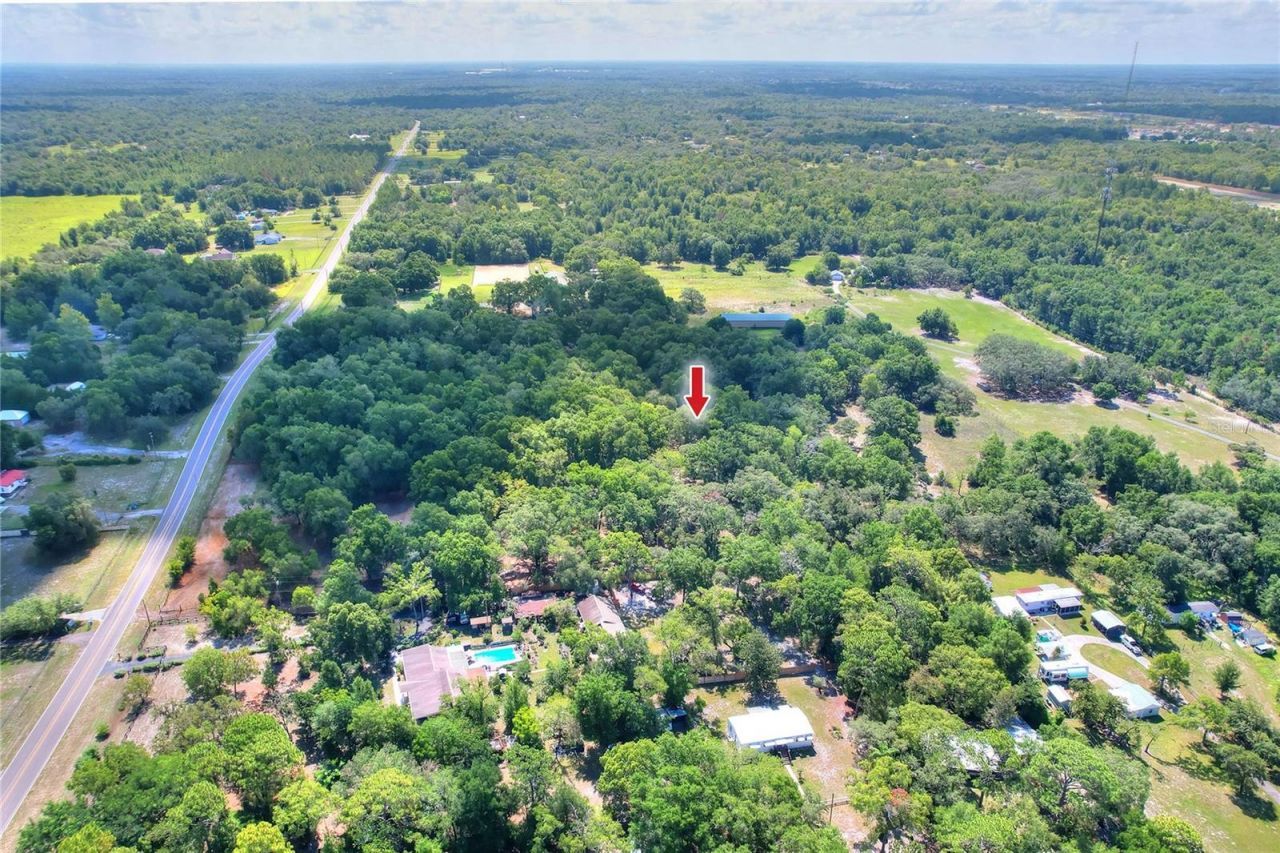 11000 Kitten Trail, Hudson, FL 34669 Photo