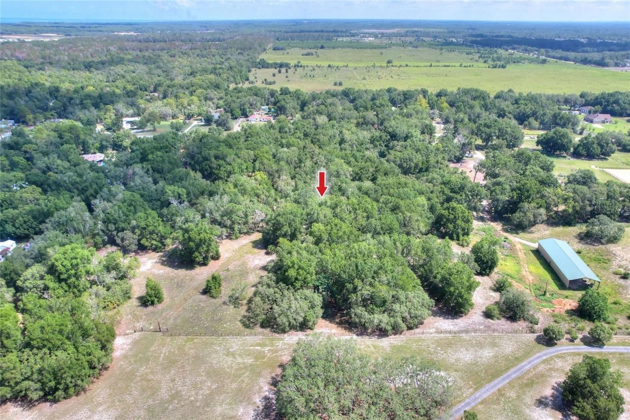 11000 Kitten Trail, Hudson, FL 34669 Photo