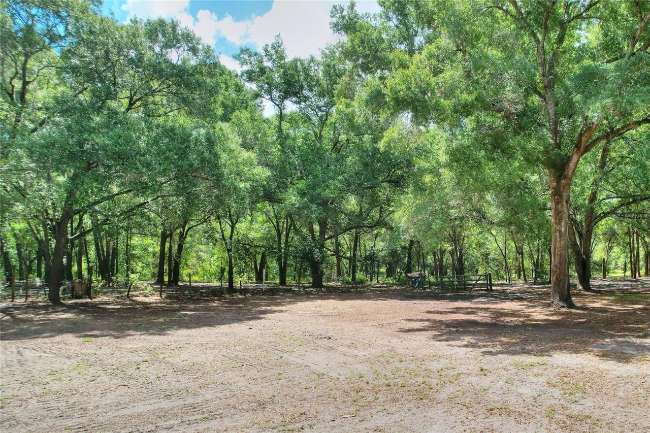 11000 Kitten Trail, Hudson, FL 34669 Photo
