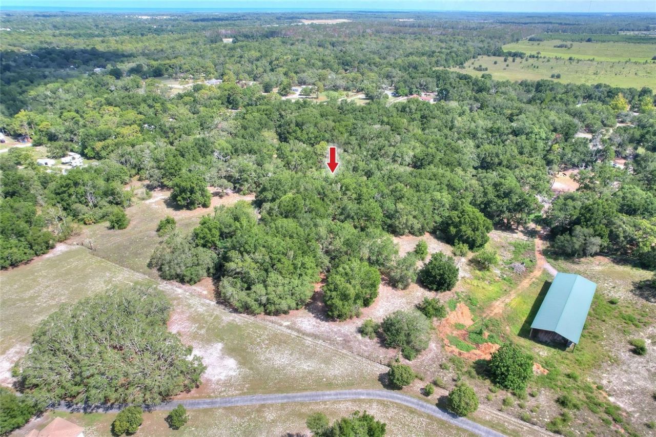 11000 Kitten Trail, Hudson, FL 34669 Photo