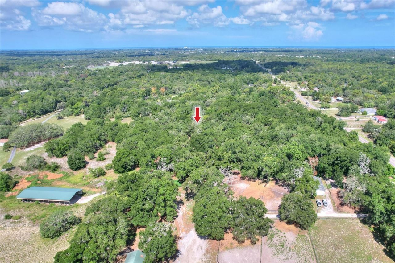 11000 Kitten Trail, Hudson, FL 34669 Photo