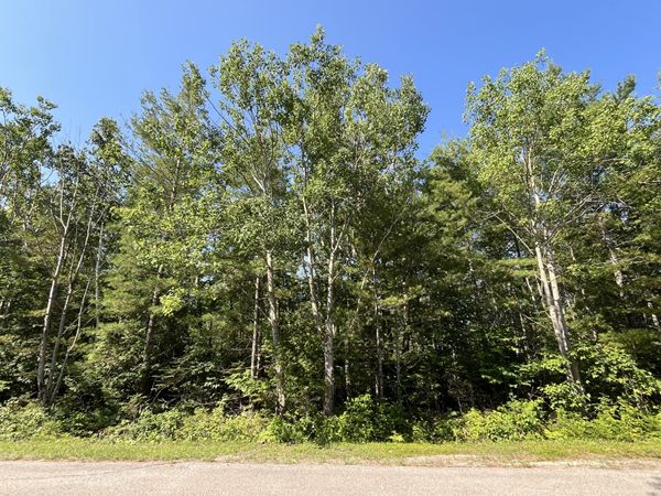 Lot 327 Fallen Timbers Drive, Presque Isle, MI 49777