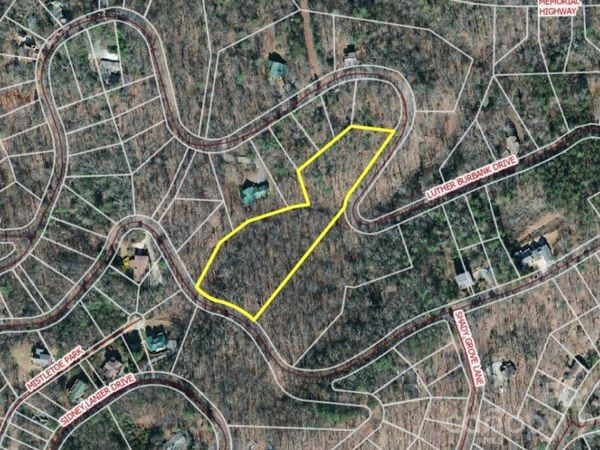 9999 Luther Burbank Drive , Lake Lure, NC 28746