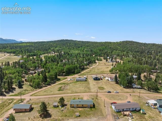 85 Aspen Drive, Divide, CO 80814 Main Photo
