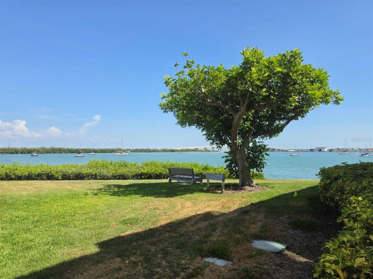 6295 Bahia Del Mar Circle, Unit 111, Saint Petersburg, FL 33715 Photo