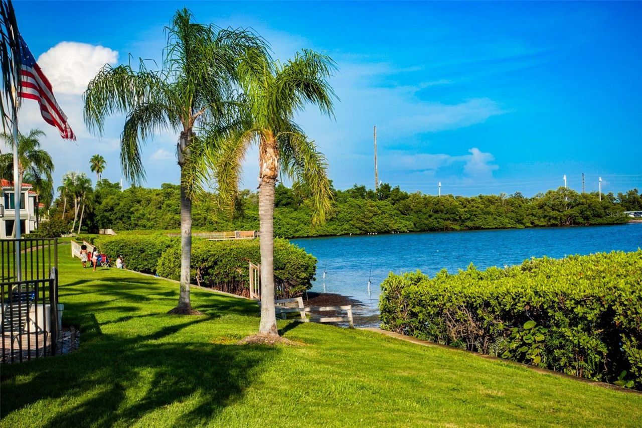 6295 Bahia Del Mar Circle, Unit 111, Saint Petersburg, FL 33715 Photo