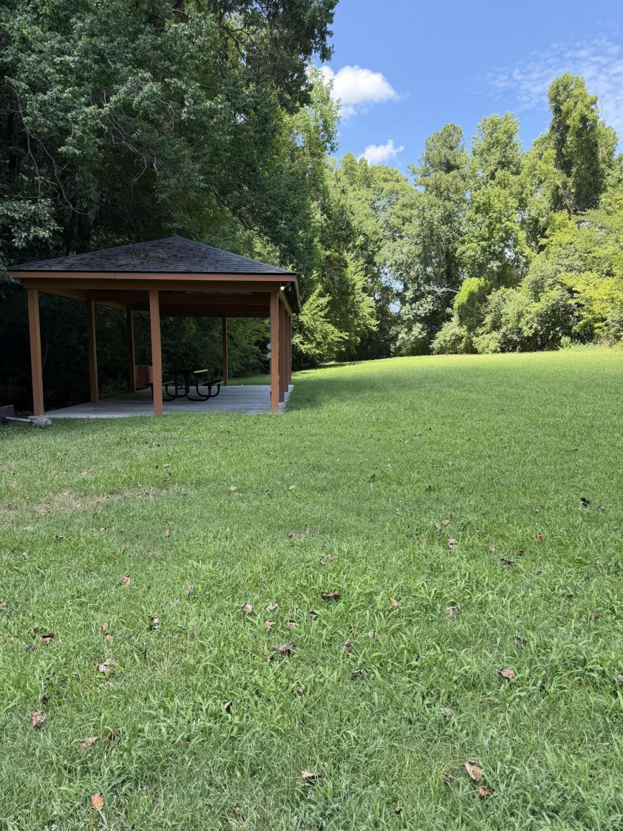 182 Highwoods Plantation Avenue Photo 46