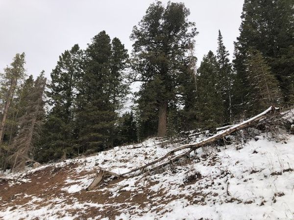 Coalville, UT 84017