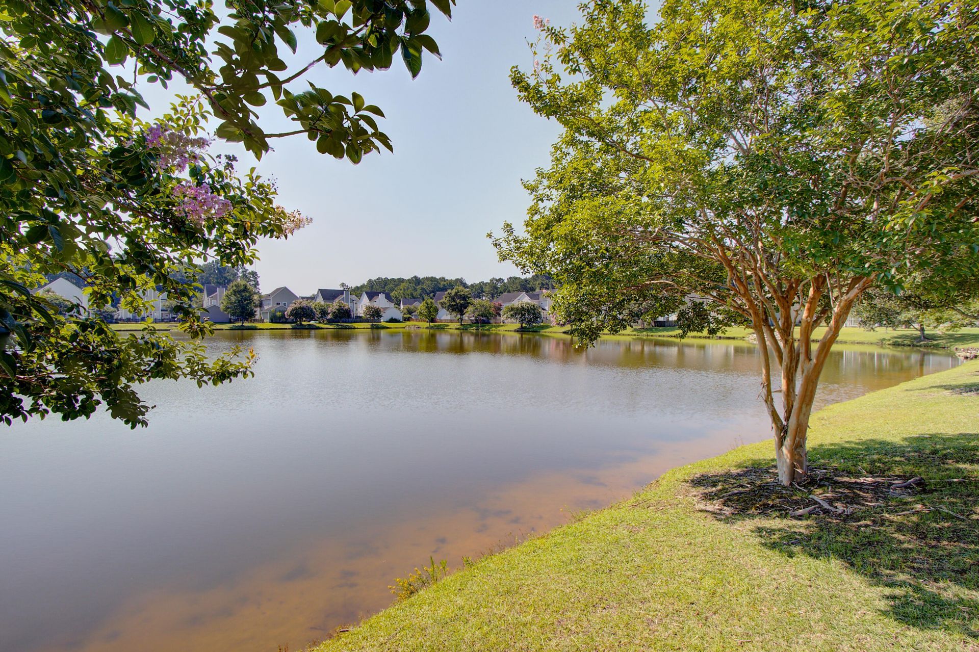 97 Avonshire Drive Photo 23