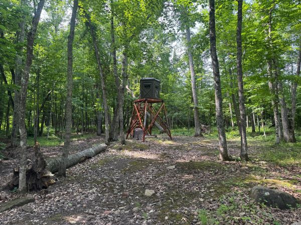 XXX W Eckel Lane, Couderay, WI 54835