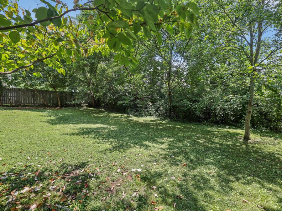 Property Image 59