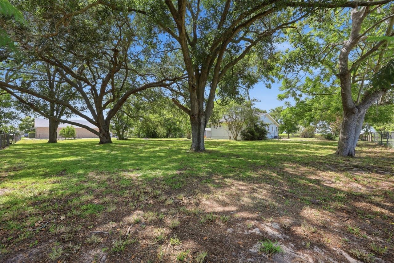 545 E Haines Boulevard, Lake Alfred, FL 33850 Photo