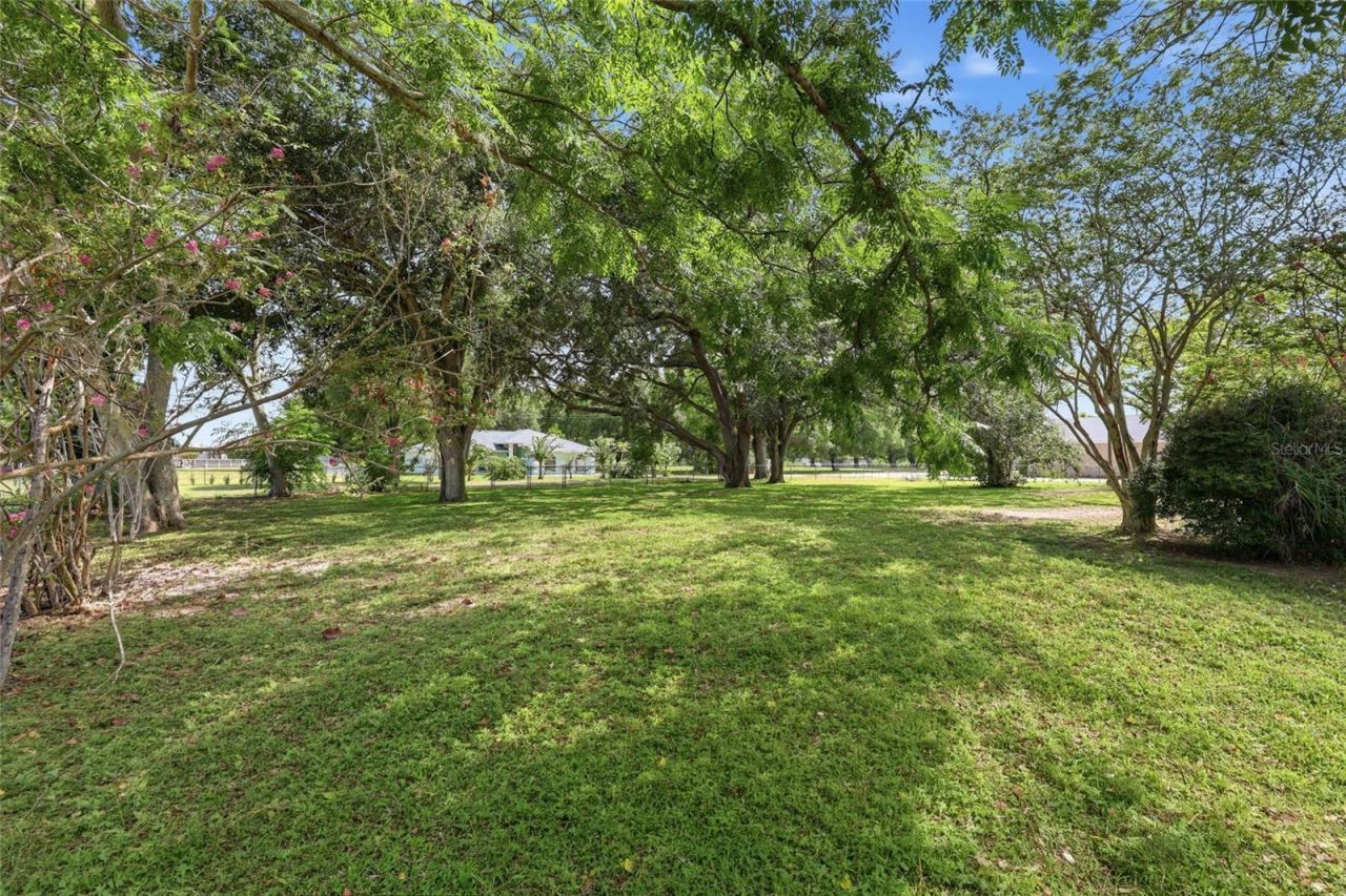 545 E Haines Boulevard, Lake Alfred, FL 33850 Photo
