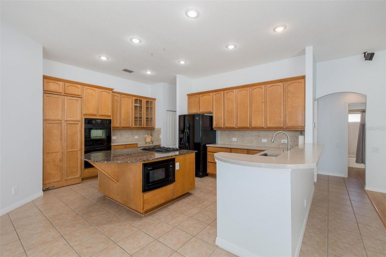 2151 Edelweiss Loop, Trinity, FL 34655 Photo