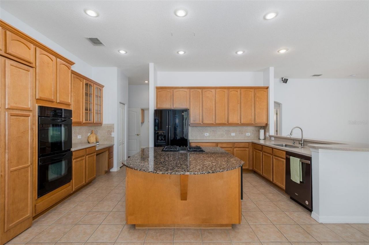 2151 Edelweiss Loop, Trinity, FL 34655 Photo