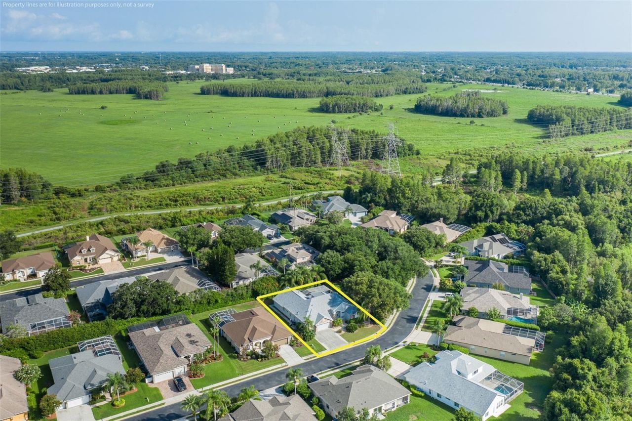 2151 Edelweiss Loop, Trinity, FL 34655 Photo