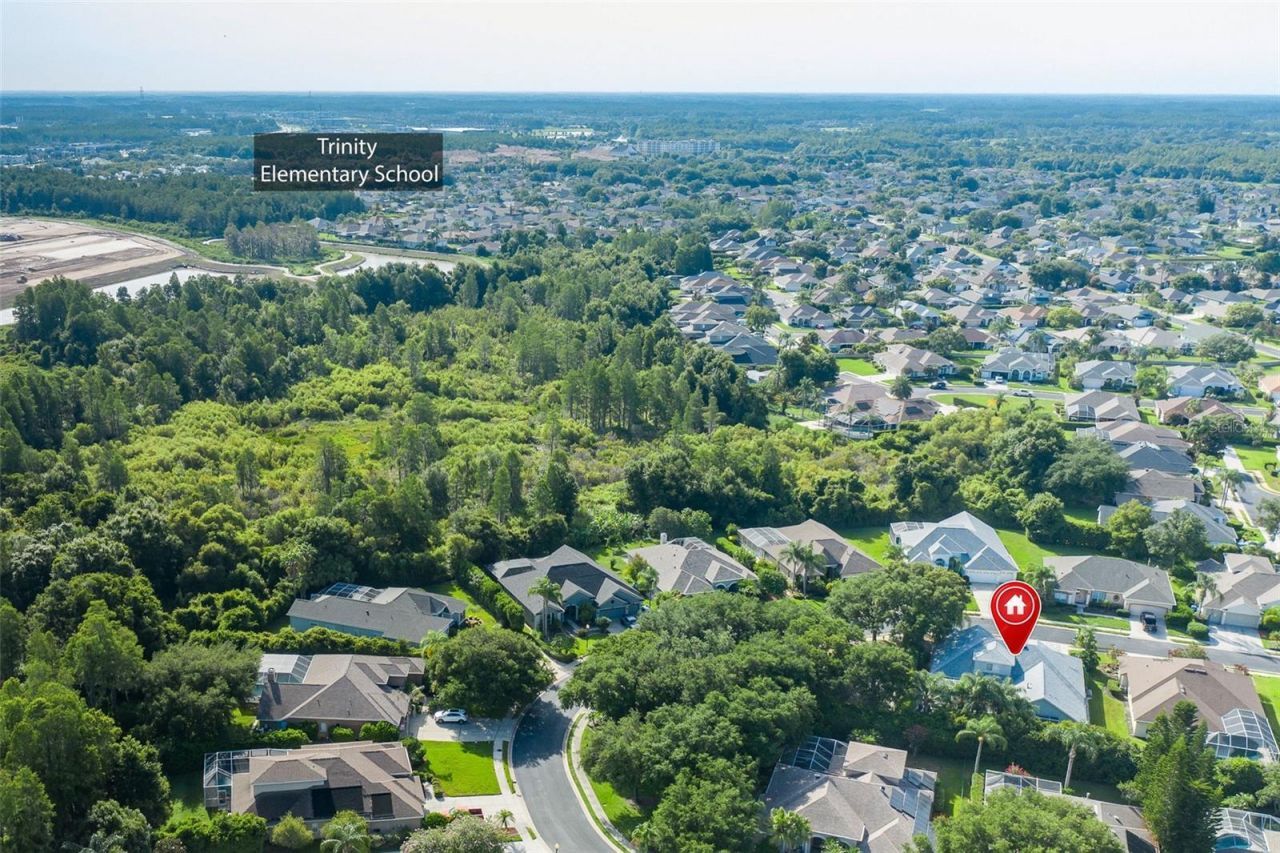 2151 Edelweiss Loop, Trinity, FL 34655 Photo
