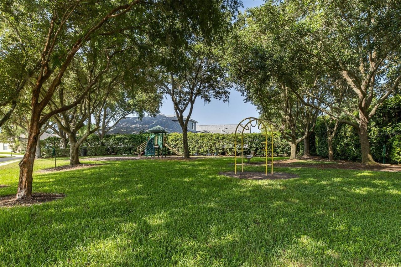 2151 Edelweiss Loop, Trinity, FL 34655 Photo