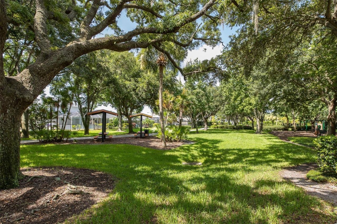 2151 Edelweiss Loop, Trinity, FL 34655 Photo