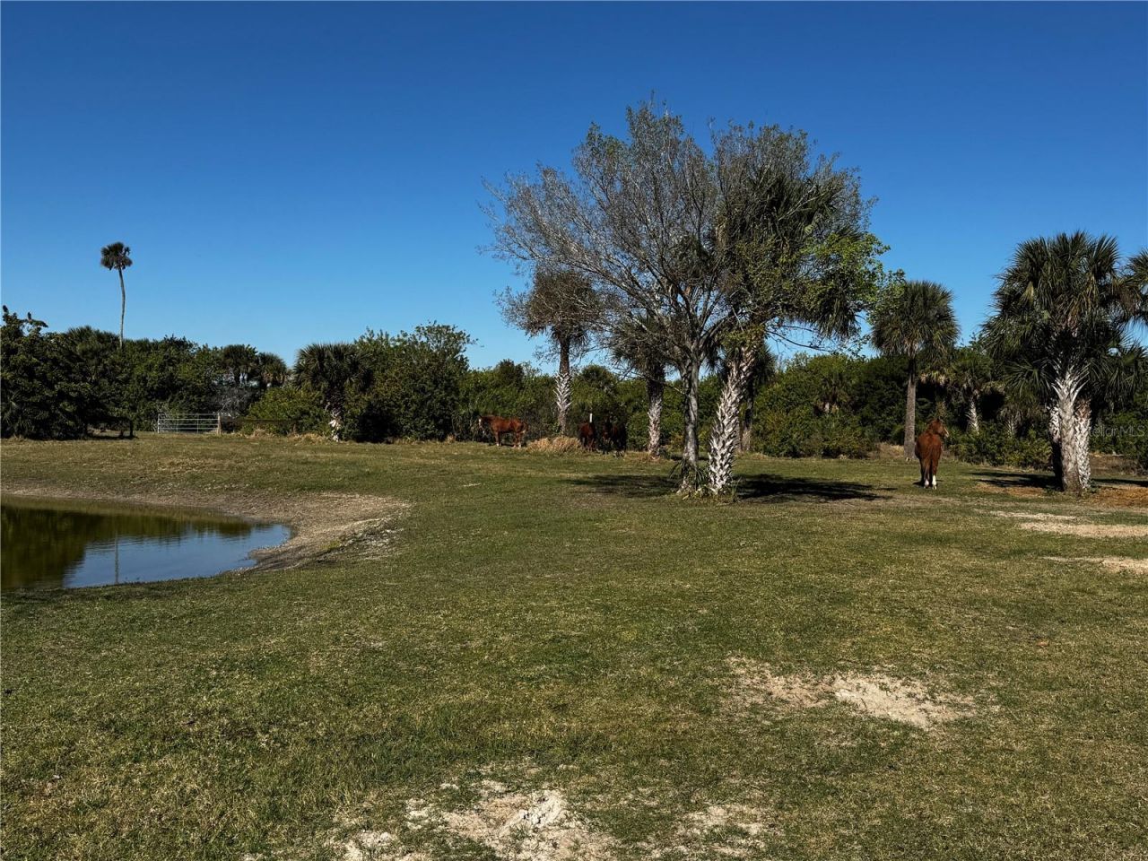 3100 Grantline Road, Mims, FL 32754 Photo