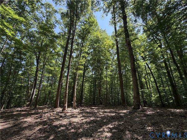 Lot 4A Parrish Road , Louisa, VA 23093