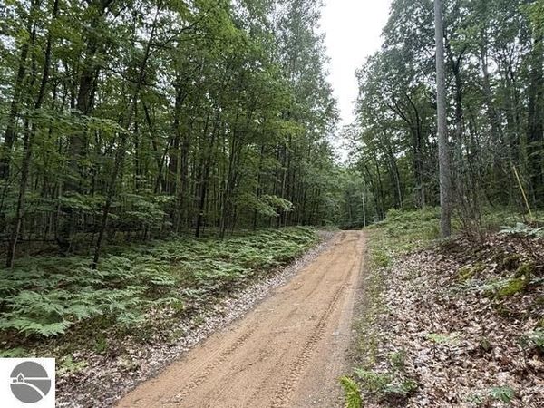 Beechwood Drive, Roscommon, MI 48653