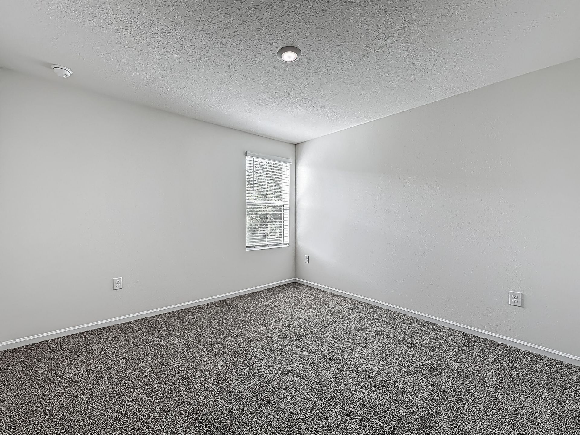 6214 Wild Mustang Trail, Jacksonville, FL 32234 Photo