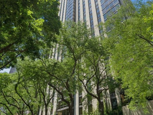 100 E Bellevue Place , Unit 24A, Chicago, IL 60611