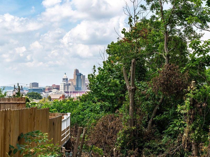 5 15th Street, Newport, KY 41071 Photo 33