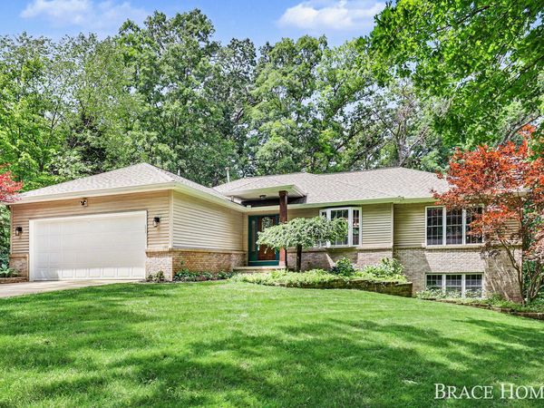 13519 Missy's Way, Lowell, MI 49331