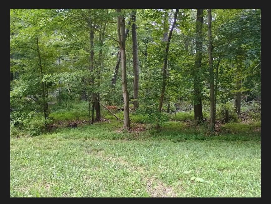 Janet Lane , Lexington Park, MD 20653 Main Photo