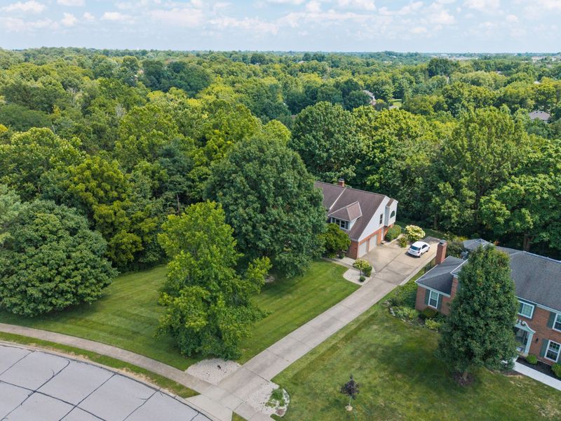 8142 Heatherwood Drive, Florence, KY 41042 Photo 45