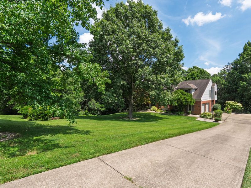 8142 Heatherwood Drive, Florence, KY 41042 Photo 49