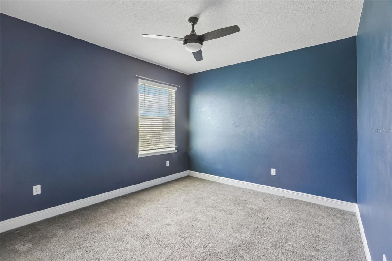 3275 Tour Trace, Land O Lakes, FL 34638 Photo