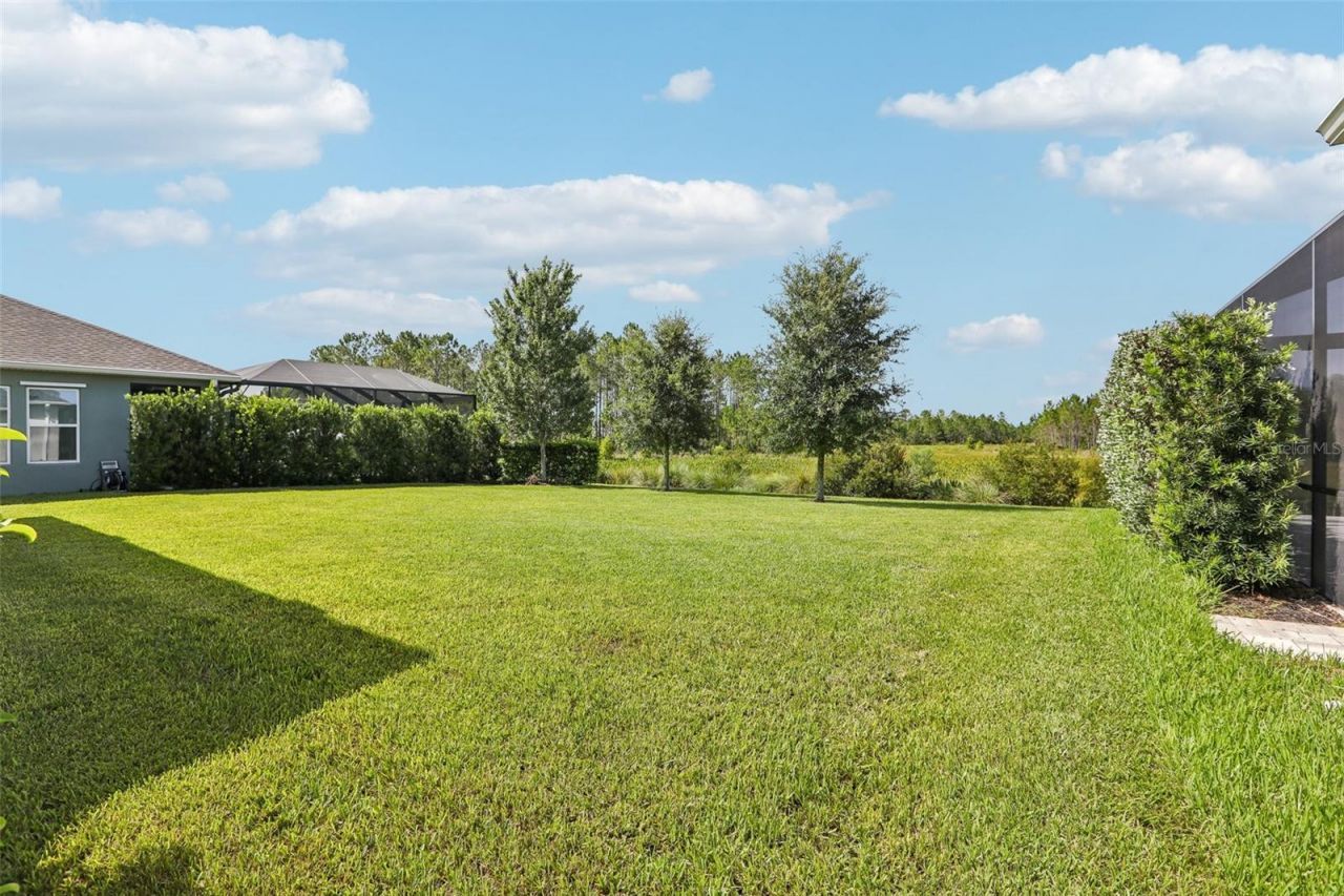 3275 Tour Trace, Land O Lakes, FL 34638 Photo