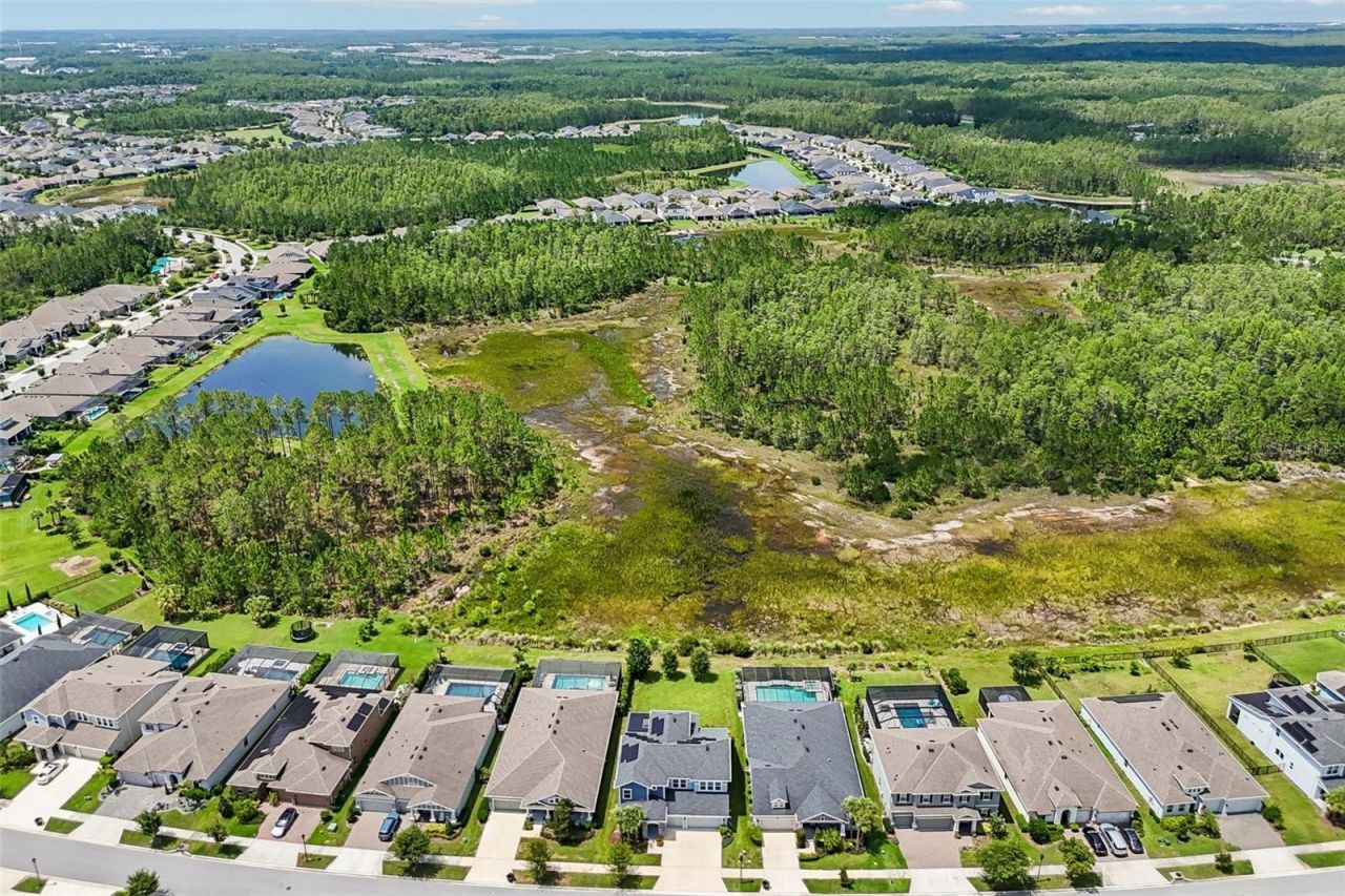 3275 Tour Trace, Land O Lakes, FL 34638 Photo