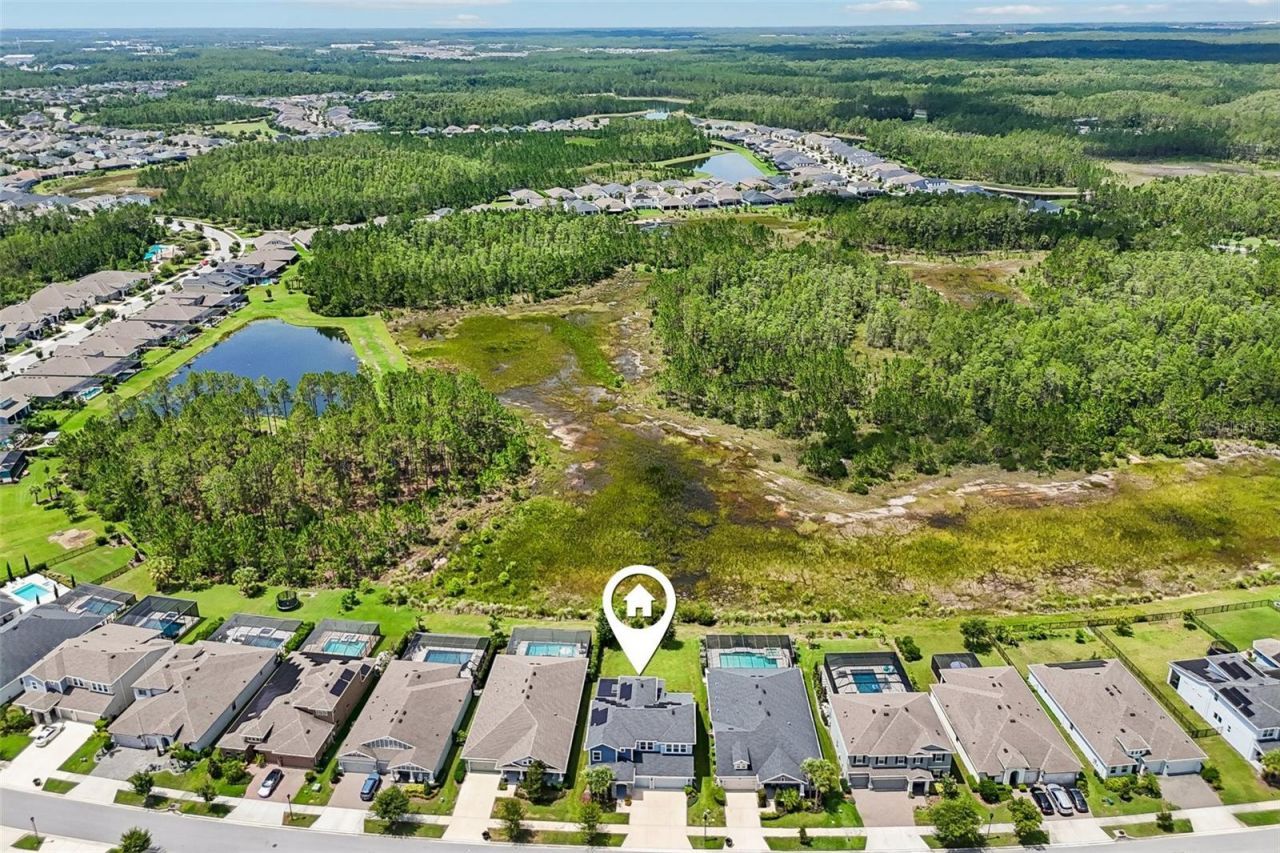 3275 Tour Trace, Land O Lakes, FL 34638 Photo