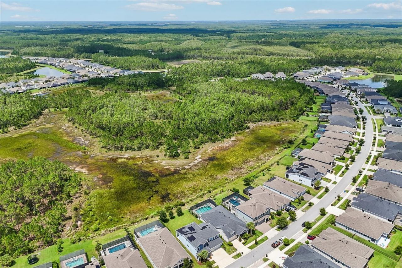3275 Tour Trace, Land O Lakes, FL 34638 Photo