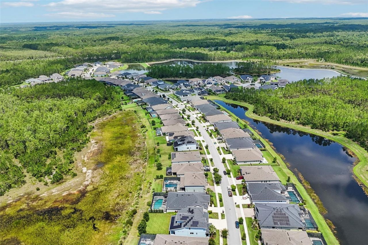 3275 Tour Trace, Land O Lakes, FL 34638 Photo